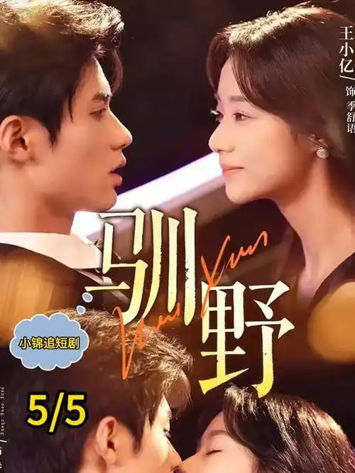 长夜灯火 剧集海报